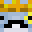 sargedolphin's head