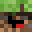 Minecrafter_Mio's head