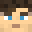 1Lix1's head