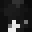 7sh1's head