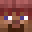 Coded_'s head