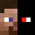 pickleturtle99's head
