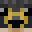 JavaDog228's head