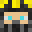 NoImBrick's head