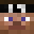 Laudaan's head