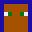 14_Dodo's head
