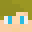 MsterBranPlayzz's head