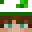 Pickle_77's head