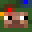 best_avocado's head