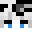 Birdcpvp's head