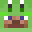 quninc's head