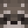 AnsonNoob's head