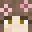 Unnamed_craft's head