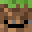 IHateGrasslol's head