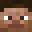 Telmr's head