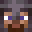 A_novel_name's head