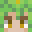 stupid_goober's head