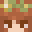 1_Ginger_Ninja_4's head