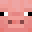 ElFoya's head