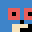 CoIIect's head