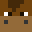 TheDonkeyYT's head