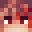 loorise's head