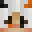 PIGILS142's head