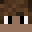 Mattiewice's head