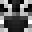 baiano1533's head