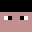 Robik32's head