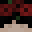 xvi2's head