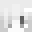 camaraopistola's head
