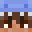 RoshiBoi's head