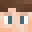 hotnet's head