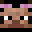 Vvert3X's head