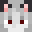 SalerSpace's head