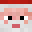 opuyg's head