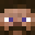 Cricu's head
