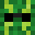 Mineirmo's head