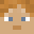CoolCraft1's head