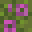 AmethystCactus's head