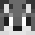 skw1il's head