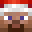 Ninkarium's head