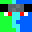 Scepreninja's head