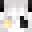 NetherLeon12's head
