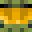 BattledGamerMC's head