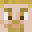 Creeperegg21's head