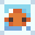 Iam_afishy's head