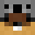 COUPSE's head