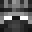 twinsirisgamer's head